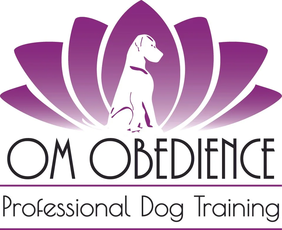 OMDay Summer Camp — OM OBEDIENCE